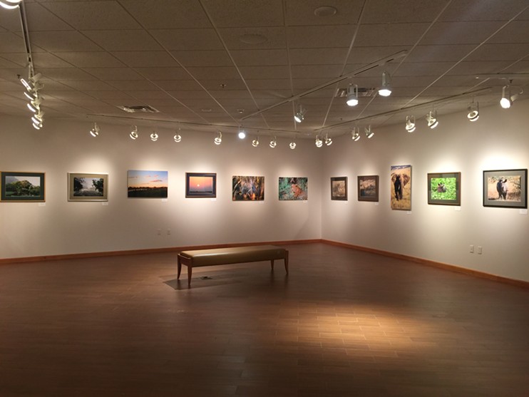 Installation View of "Thoughts on Africa"