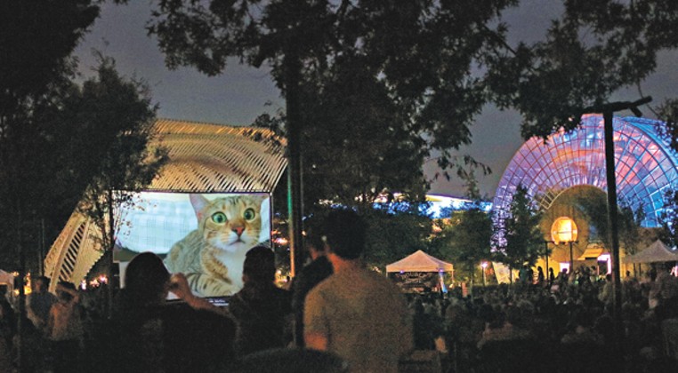 Myriad Botanical Gardens brings Cat Video Festival back for a night of food and purrfectly funny clips.