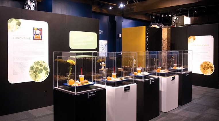 A display in the smART Space exhibition Decomposition shows guests how real food decomposes over time. | Photo Science Museum Oklahoma / provided
