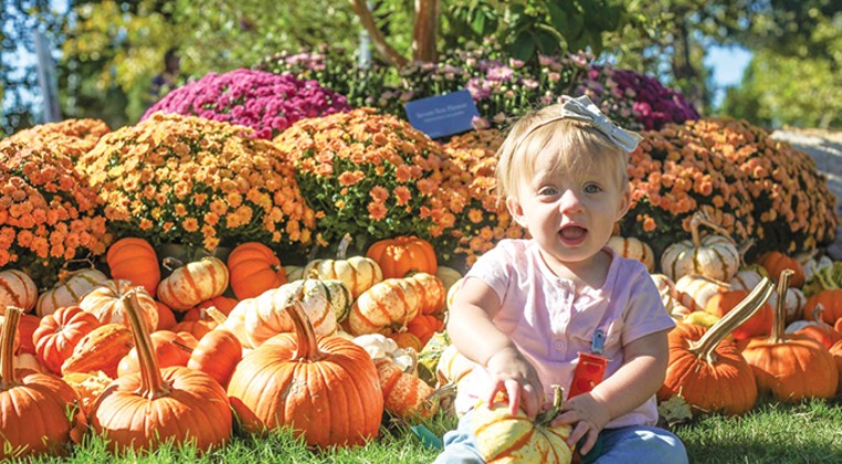 Fall Guide: Great pumpkins