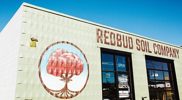 Redbud roots