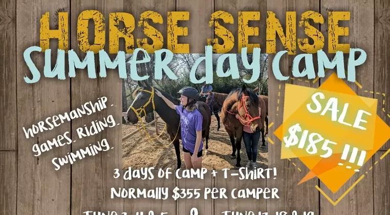 Image: Summer Natural Horsemanship Day Camp