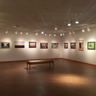 Installation View of "Thoughts on Africa"