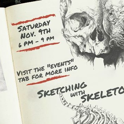 Sketing with Skeletons