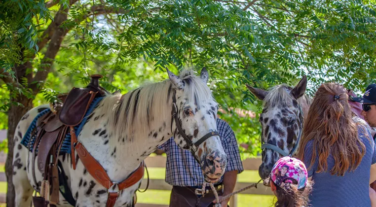 Image: Chisholm Trail Festival