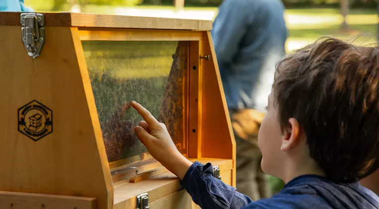 Image: Coffee & Conversation: Beekeeping in Your Backyard