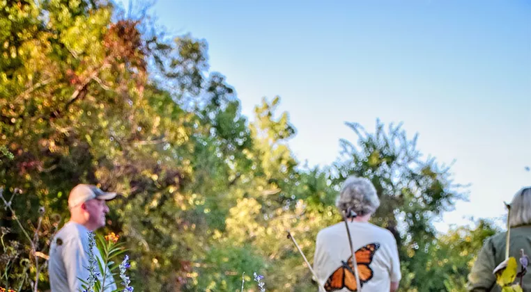 Image: Coffee & Conversation: Native Plants