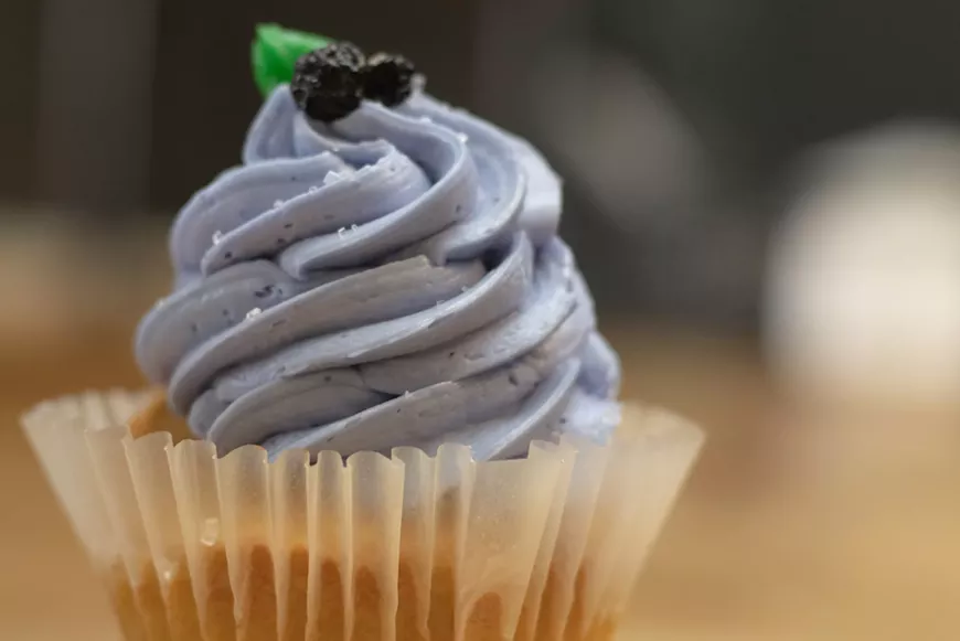 Our homemade blueberry cupcake!  It is topped with dried blueberries and fresh blueberries that are generously spread about in the cake itself.  A fluffy icing stacked high completes this must-have treat!