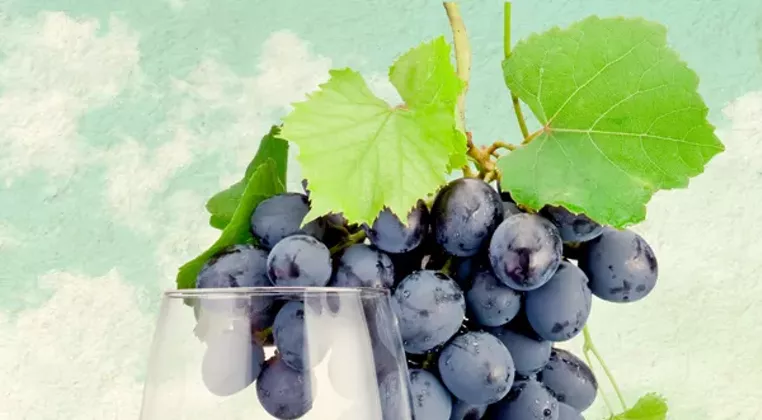 Image: Fall Guide: Start wining