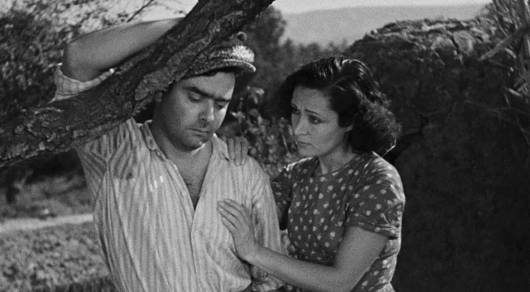 Image: Free Film Screening: Toni