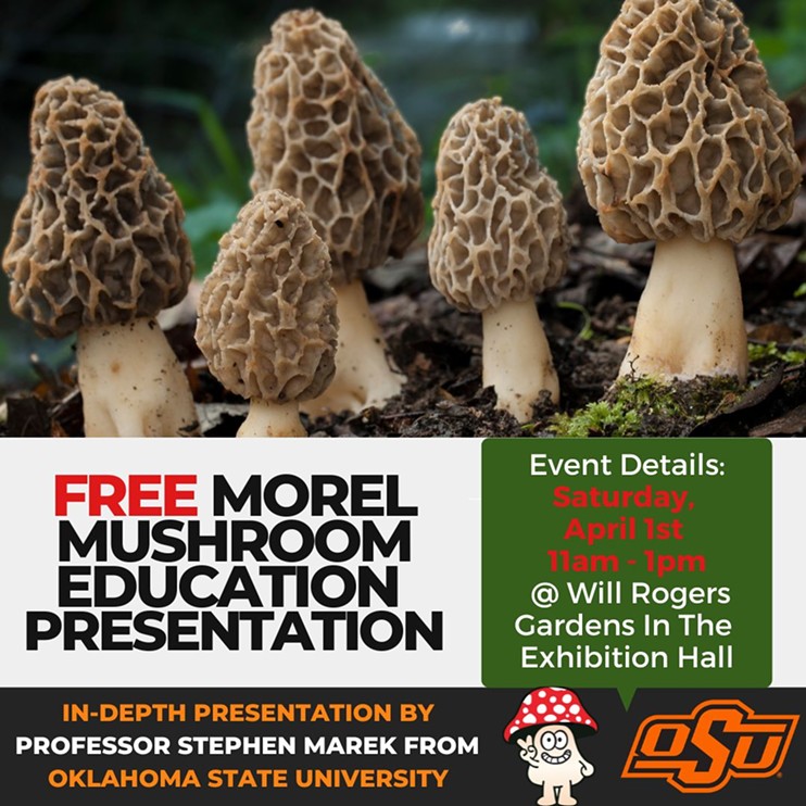 morel-mushroom-flyer.jpg