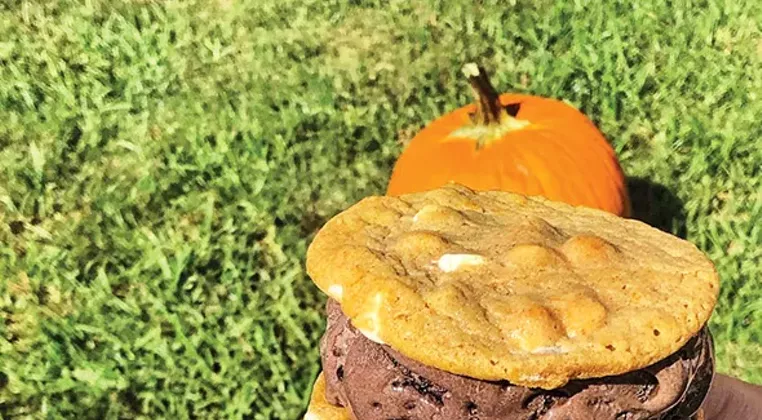 Image: Gazedibles: Pumpkin spiced
