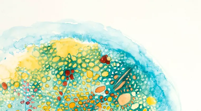Image: Microbial Multiverse