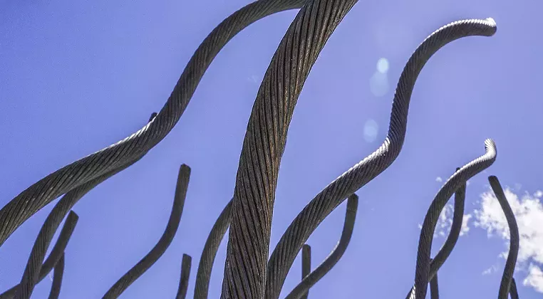 Image: Opening Reception | Shaved Portions and Nature, Sweet Nature