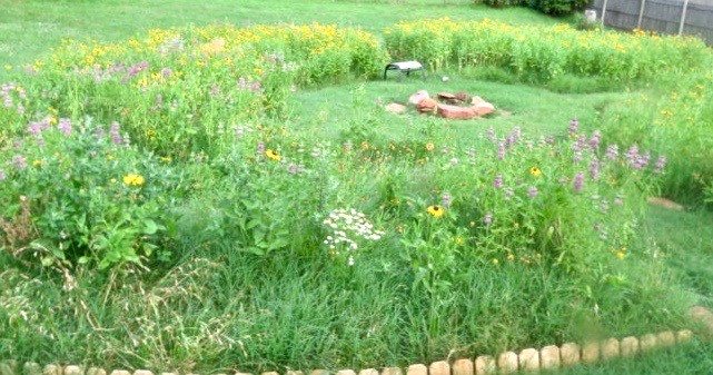 katies-pollinator-backyard.jpg