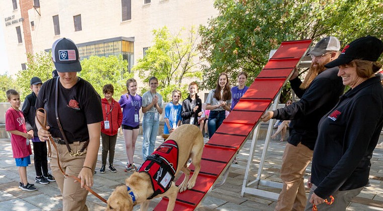 Rescue Dog Demonstration With Ground Zero