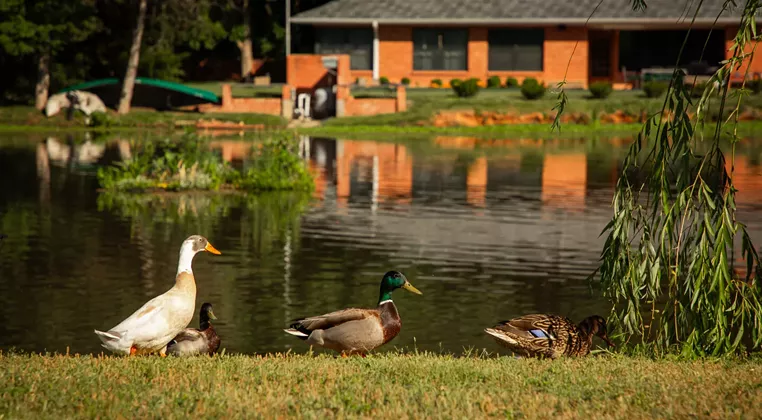 Image: Spring Open House