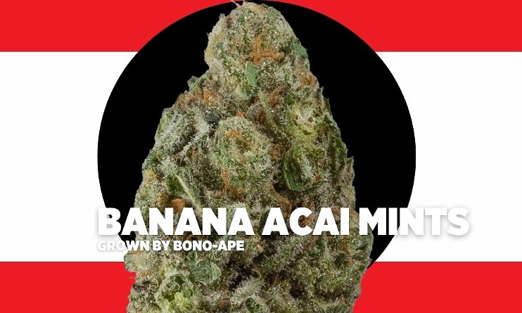 Banana Acai Mints by Bono-Ape