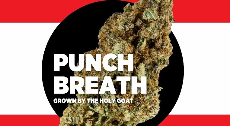 Strain Review: Punch Breath