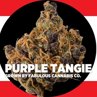 Strain Review: Purple Tangie