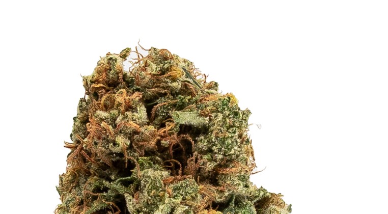Strain Review: Smoked Out
