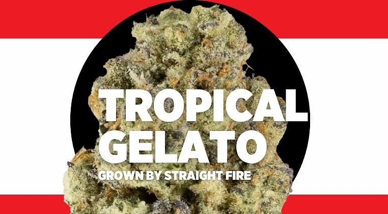 Strain Review: Tropical Gelato