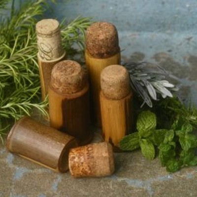 Two Classes About Herbs: Medicinal Herbs & Herbal Balms