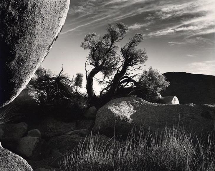 Brett Weston photo donation makes OKCMOA's collection world's second-largest