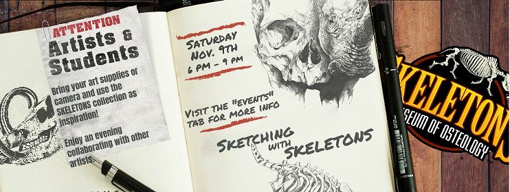 Sketing with Skeletons